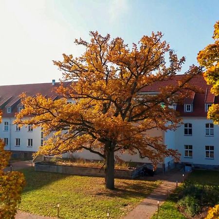 Parkresidenz Lychen, Ferienwohnung 8 Dış mekan fotoğraf