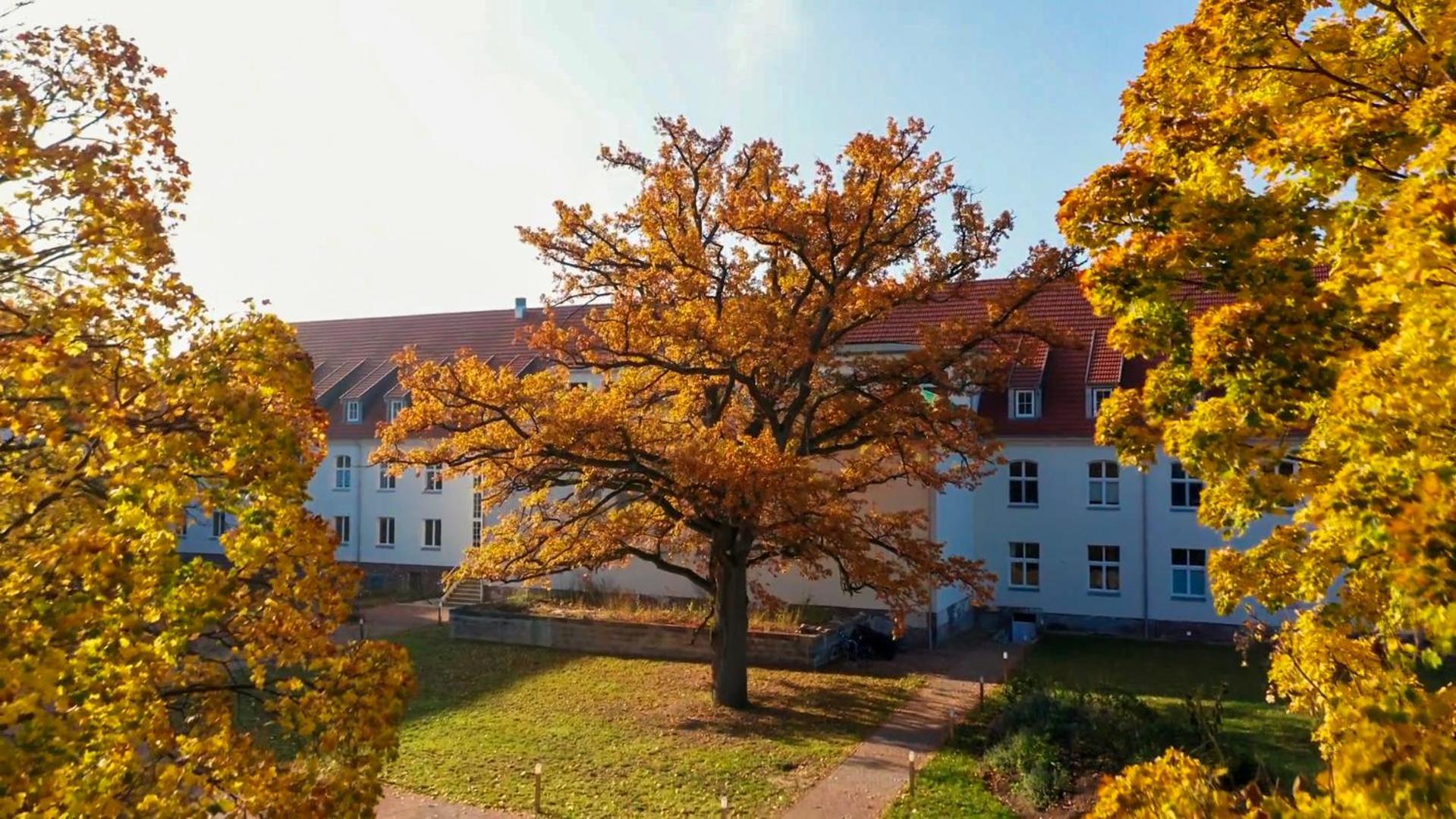 Parkresidenz Lychen, Ferienwohnung 8 Dış mekan fotoğraf