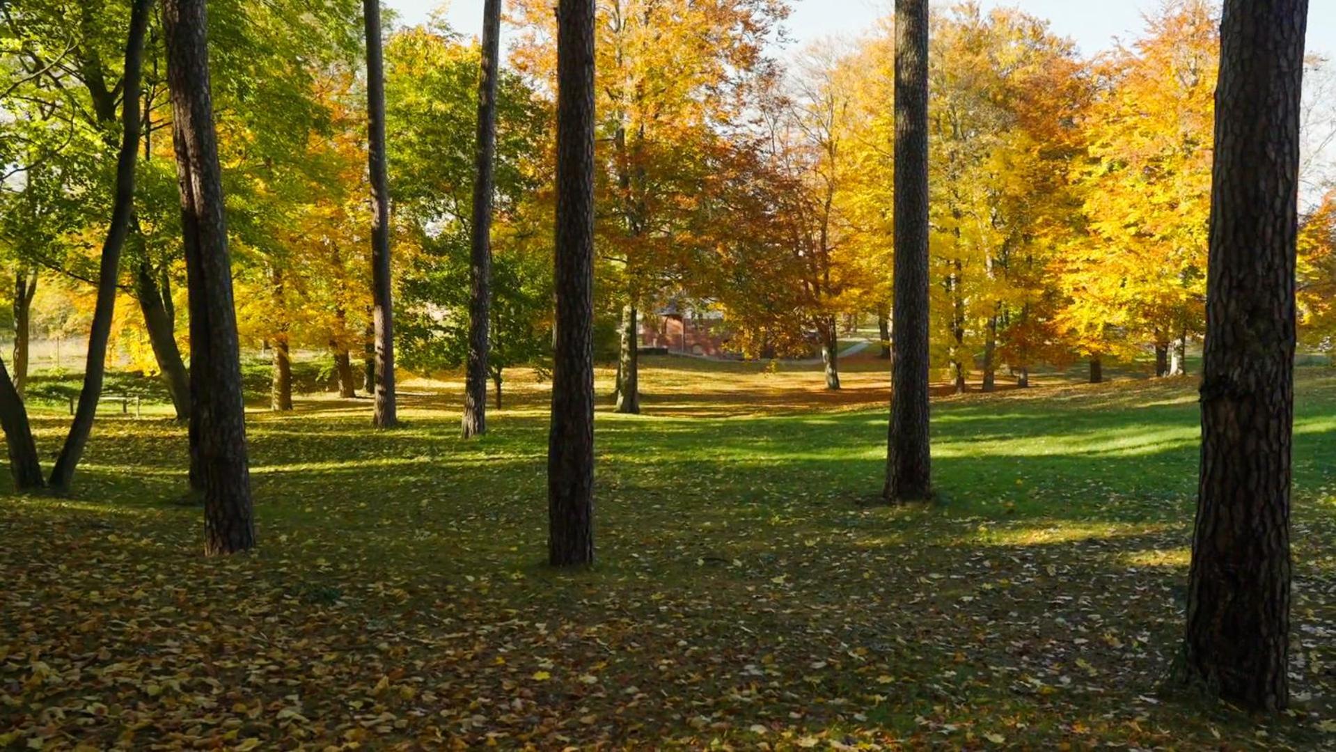 Parkresidenz Lychen, Ferienwohnung 8 Dış mekan fotoğraf